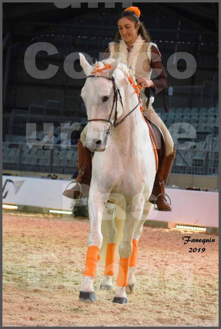 Cheval Passion 2019 - Concours de Pas Espagnol - Étalon "ZIDANE" - 29