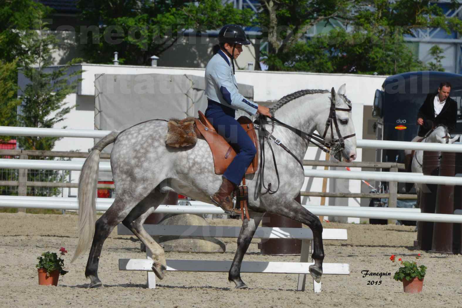 Salon Equitaine de Bordeaux 2015 - Concours d'Equitation de Travail avec chevaux Ibériques - S - 4