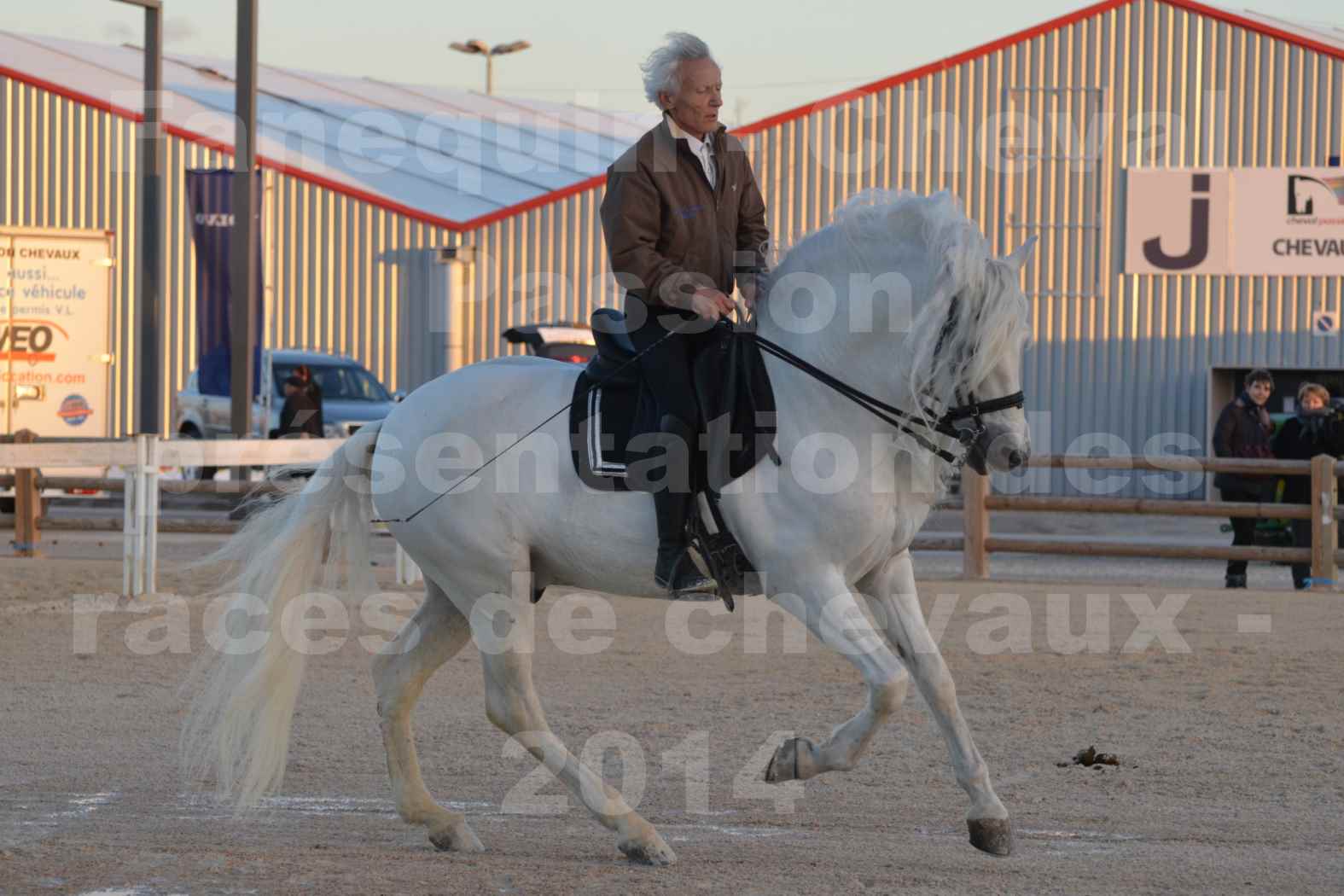 Cheval Passion 2014 - Etalon "GALAN"  blanc écurie Alain LAUZIER - Notre Sélection - 16