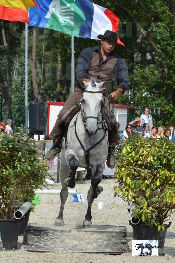 Salon Equitaine de Bordeaux en 2014 - concours Equitation de travail - Épreuve de Maniabilité chronométré - L - 7