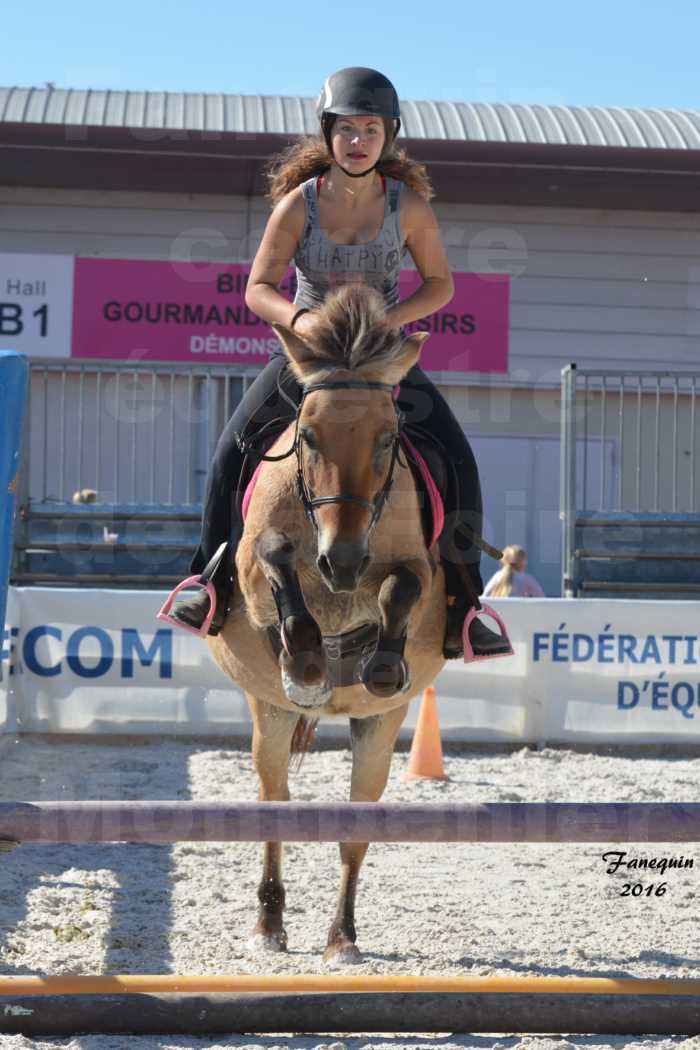 Centre équestre éphémère de la Foire de Montpellier 2016 - Samedi 08 Octobre 2016 - saut d'obstacle cavalière "l'Hacienda"