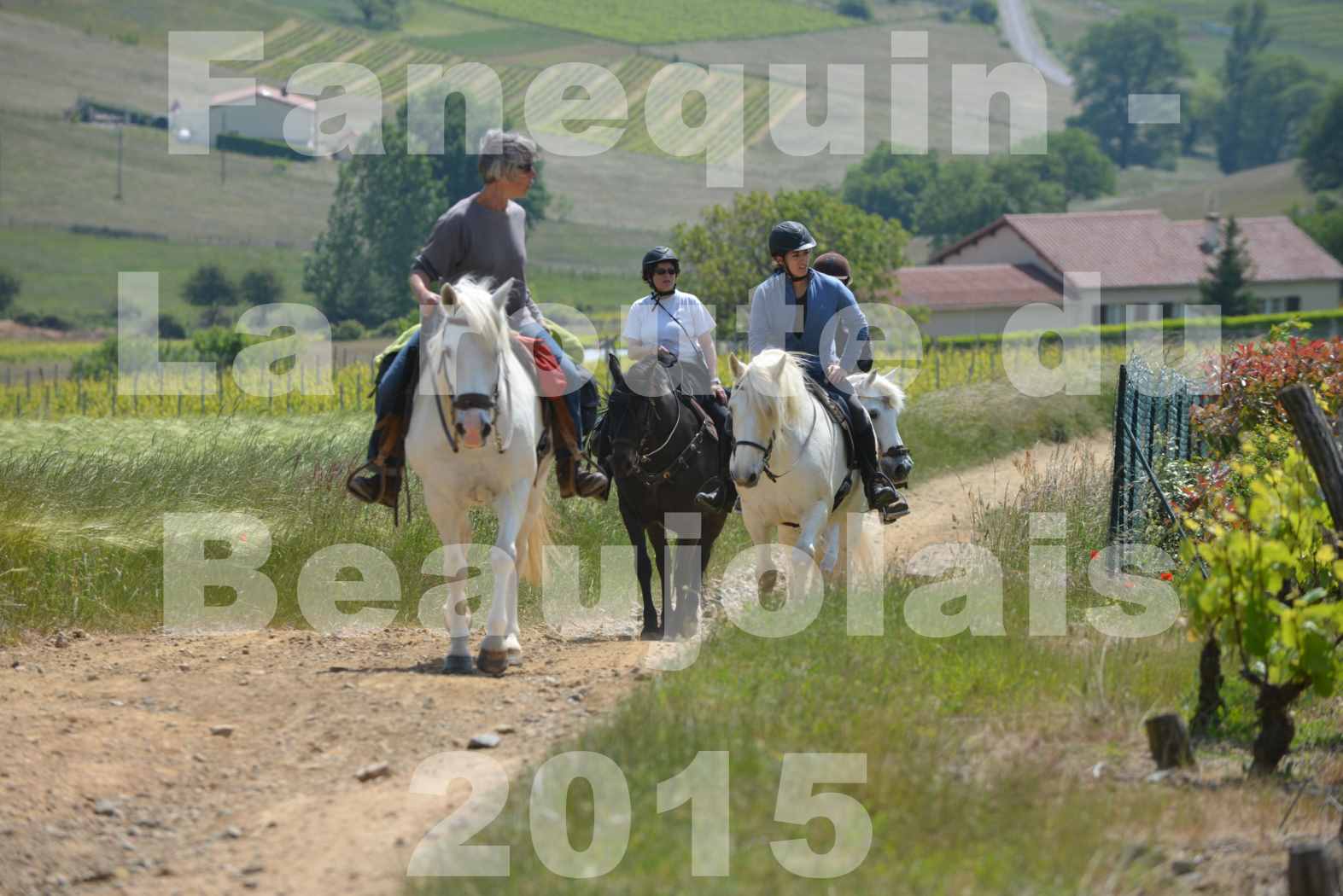 La Route Du Beaujolais 2015 - dimanche 24 mai 2015 - parcours en matinée - deuxième partie - 11