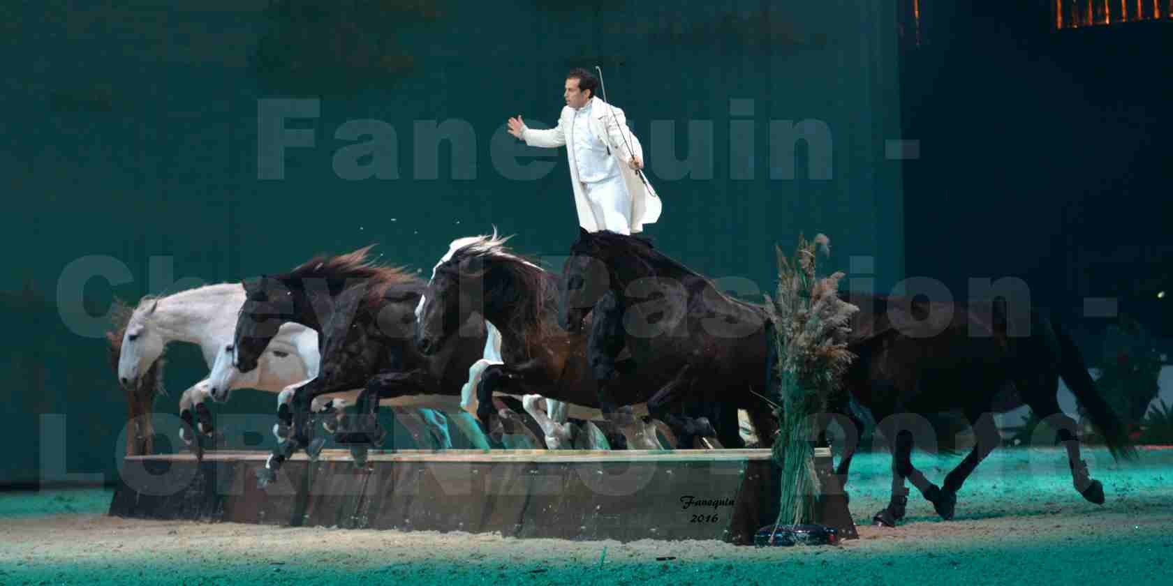 Cheval Passion 2016 - Spectacle les Crinières d'OR - LORENZO "Blanc" - représentation du 23 janvier 2016 - 12