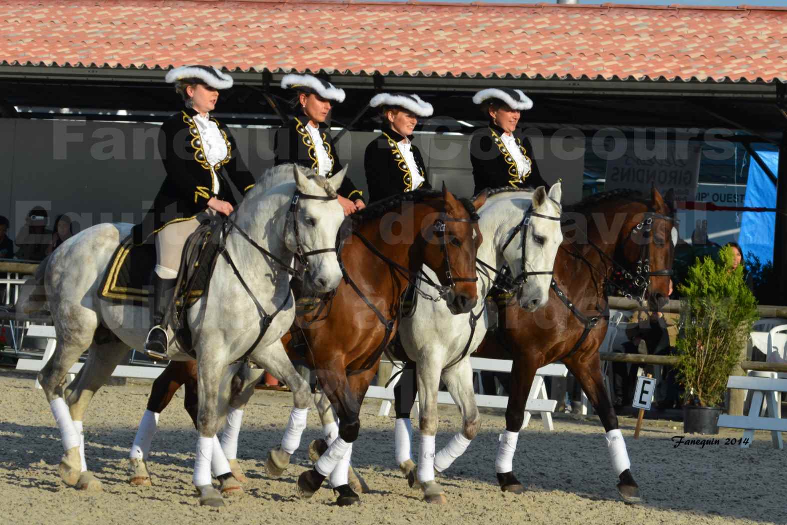 Carrousel de cavalières Equitation de travail lors du salon "Equitaine" à Bordeaux en 2014 - 02