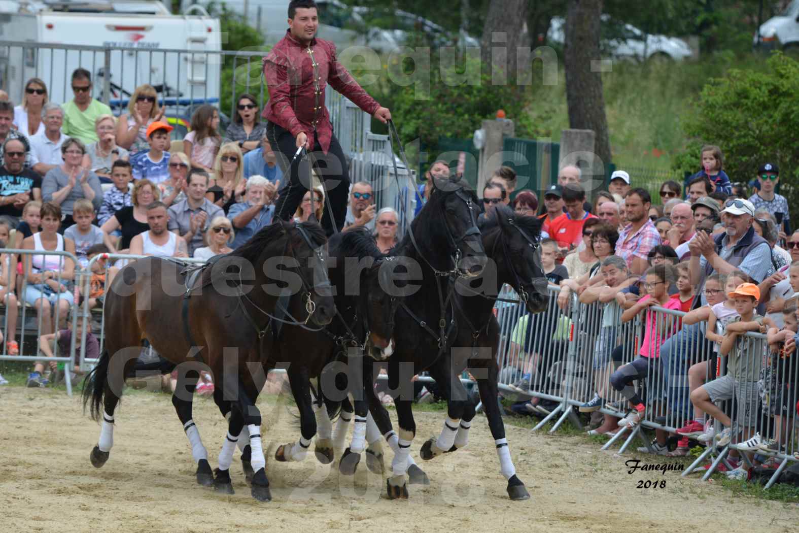 Spectacle Équestre le 3 juin 2018 à Saint Gély du Fesc - Poste Hongroise de 2 à 6 chevaux - Benoît SOUMILLE - 2