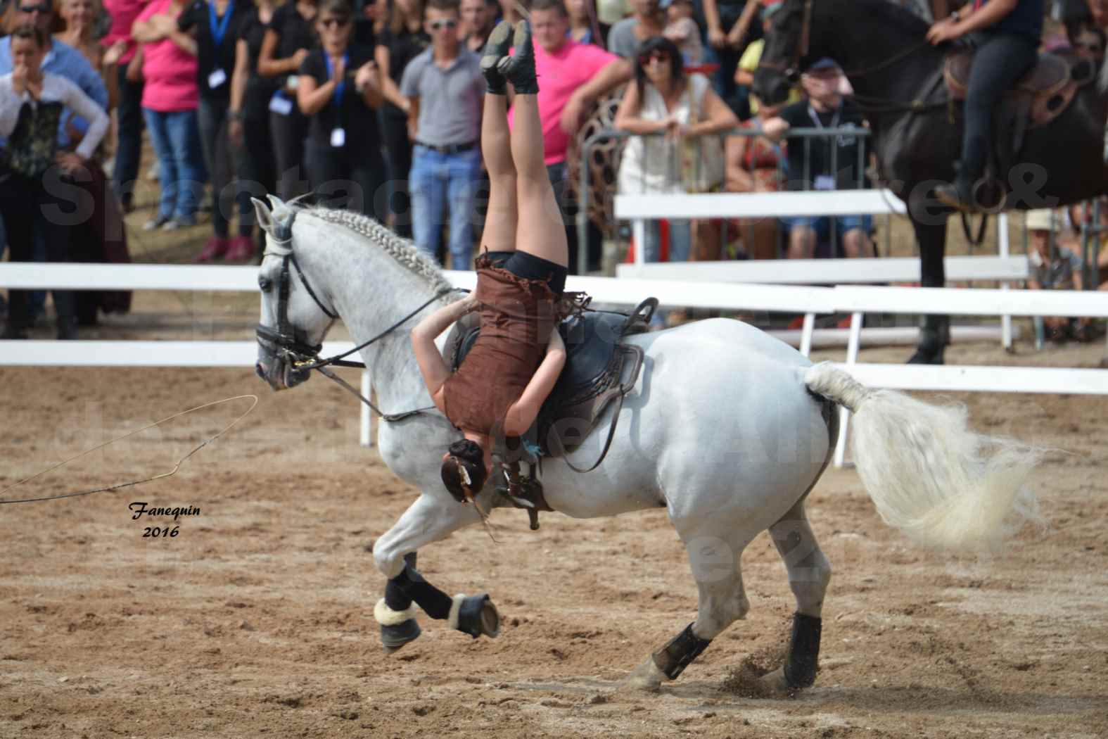 Spectacle équestre le 4 Septembre 2016 au Domaine de GAILLAC - voltige équestre avec la famille HASTALUEGO - 04