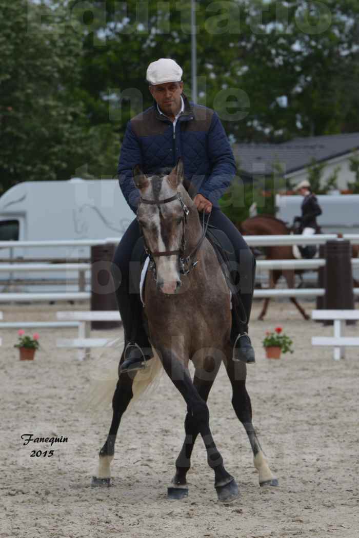 Salon Equitaine de Bordeaux 2015 - Concours d'Equitation de Travail avec chevaux Ibériques - L - 05