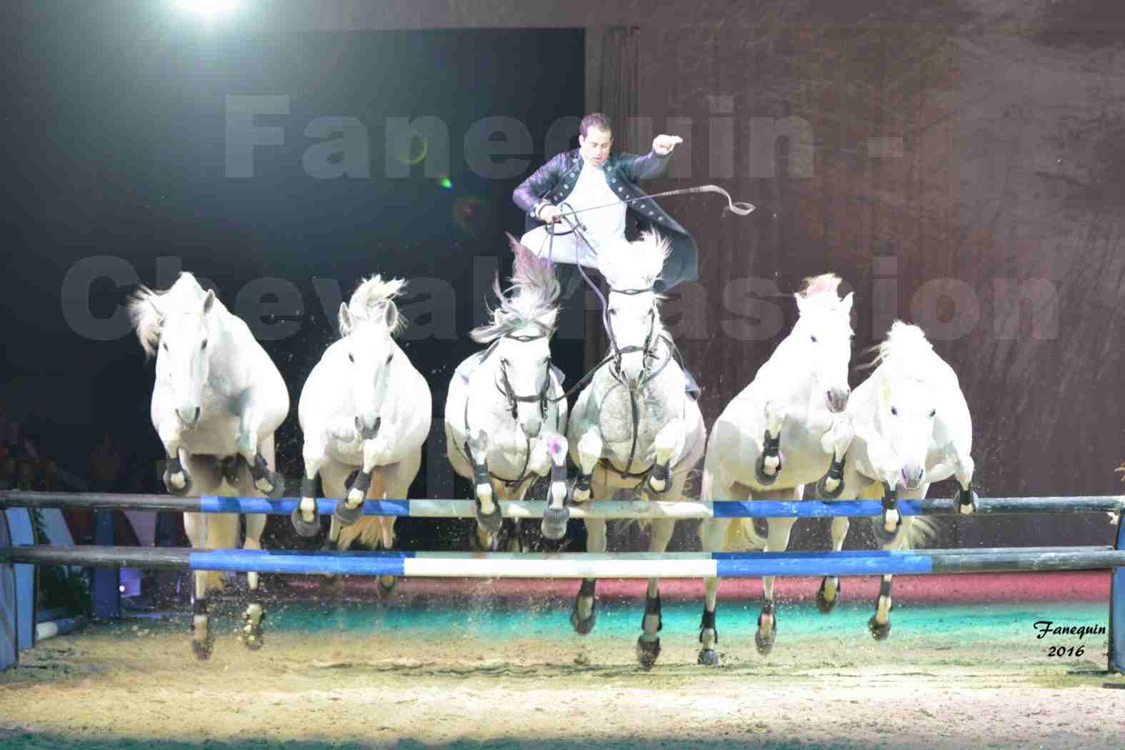 Cheval Passion 2016 - Spectacle les Crinières d'OR - LORENZO "Noir" - représentation du 23 janvier 2016 - 03