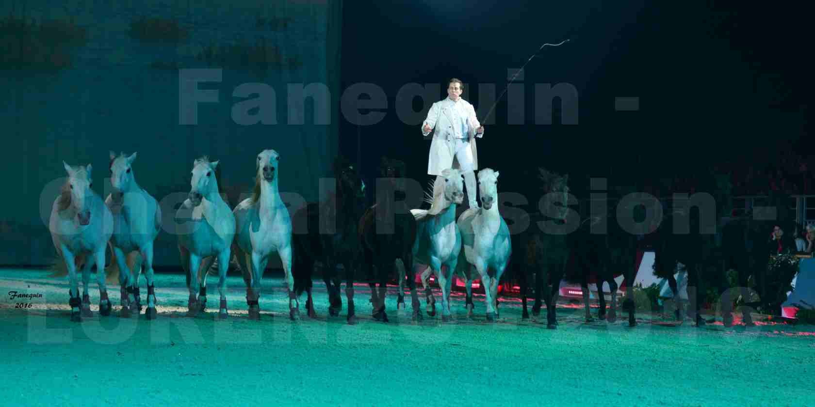 Cheval Passion 2016 - Spectacle les Crinières d'OR - LORENZO "Blanc" - représentation du 20 janvier 2016 - 07