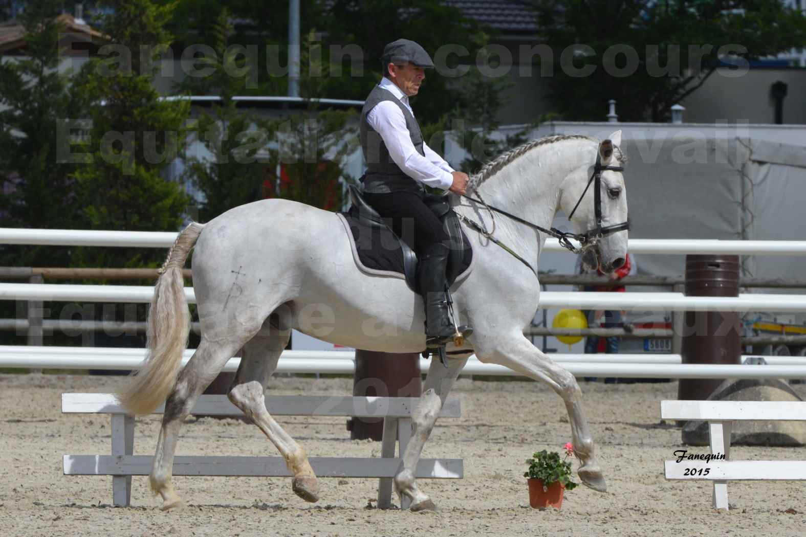 Salon Equitaine de Bordeaux 2015 - Concours d'Equitation de Travail avec chevaux Ibériques - X - 3
