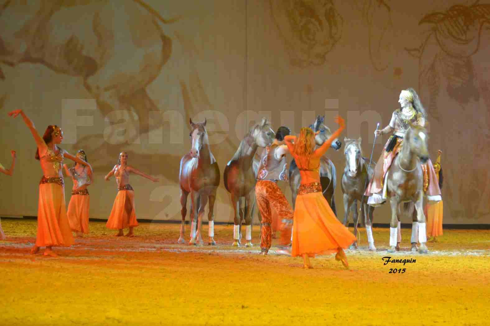 Cheval Passion 2015 - Les Crinières d'OR - Sylvie WILLMS - 08