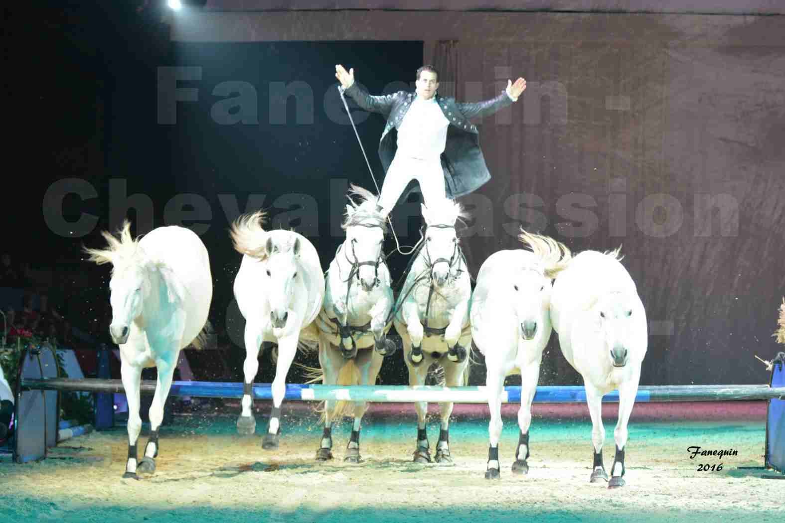 Cheval Passion 2016 - Spectacle les Crinières d'OR - LORENZO "Noir" - représentation du 23 janvier 2016 - 02