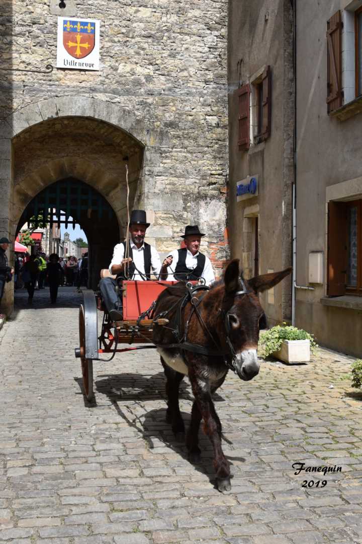 Défilé de calèches de 1900 à Villeneuve d'Aveyron - Âne avec calèche à 2 roues