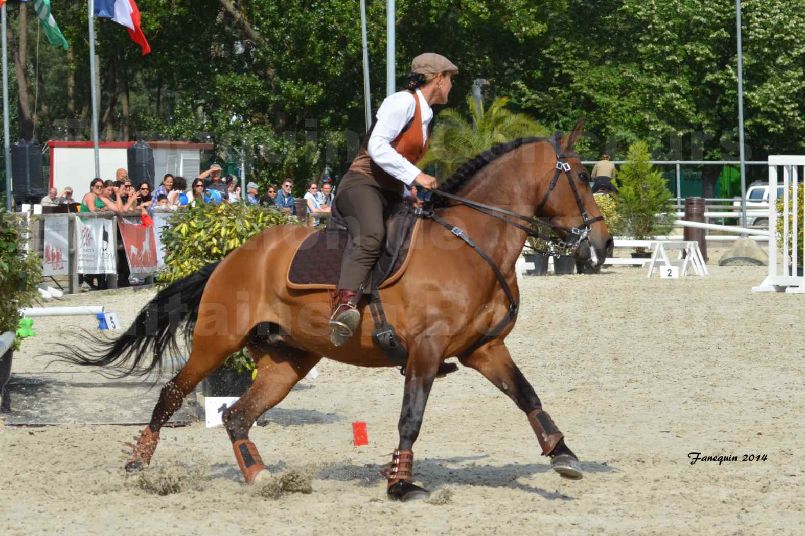 Salon Equitaine de Bordeaux en 2014 - concours Equitation de travail - Épreuve de Maniabilité chronométré - N - 14