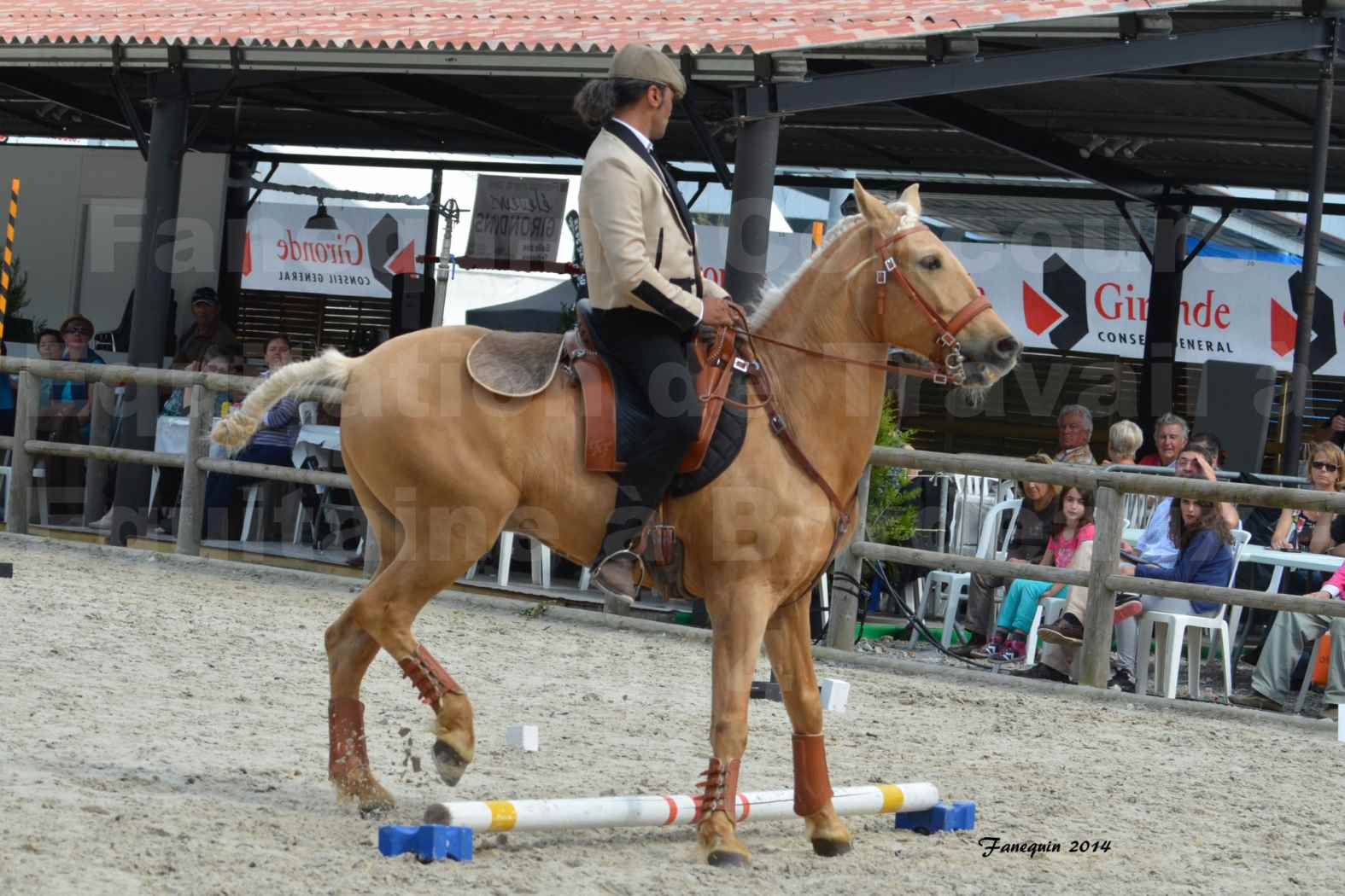 Salon Equitaine de Bordeaux en 2014 - concours Equitation de travail - Épreuve de Maniabilité chronométré - D - 10