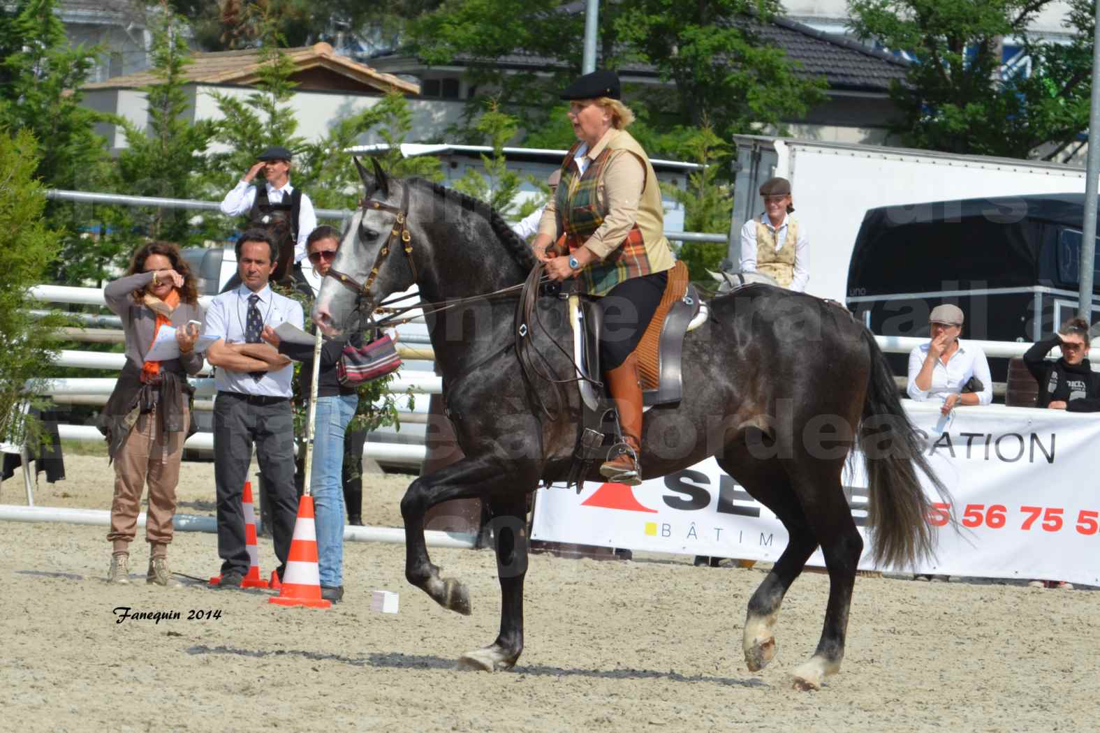 Salon Equitaine de Bordeaux en 2014 - concours Equitation de travail - Épreuve de Maniabilité chronométré - F - 05