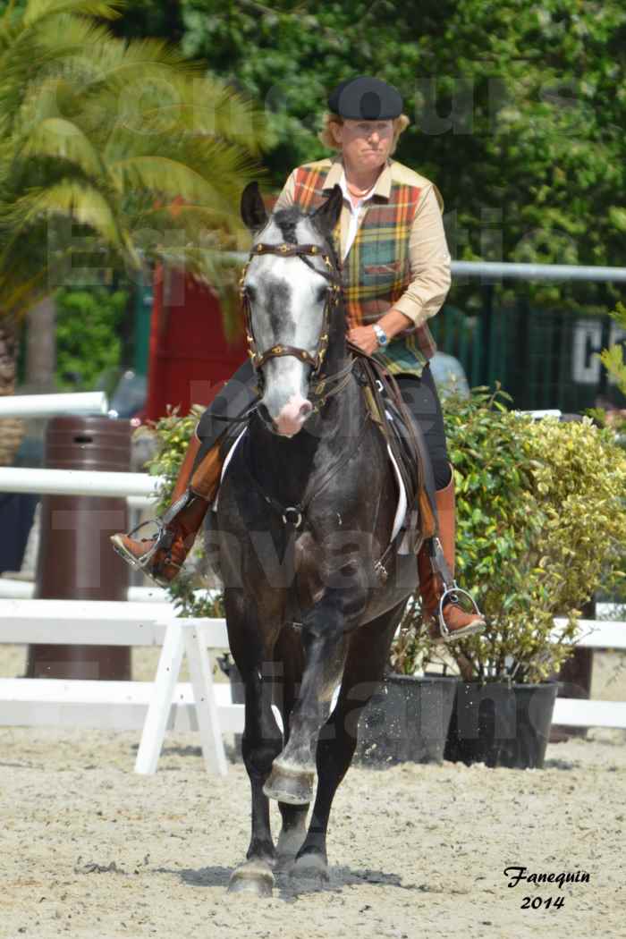 Salon Equitaine de Bordeaux en 2014 - concours Equitation de travail - Épreuve de Maniabilité chronométré - F - 01