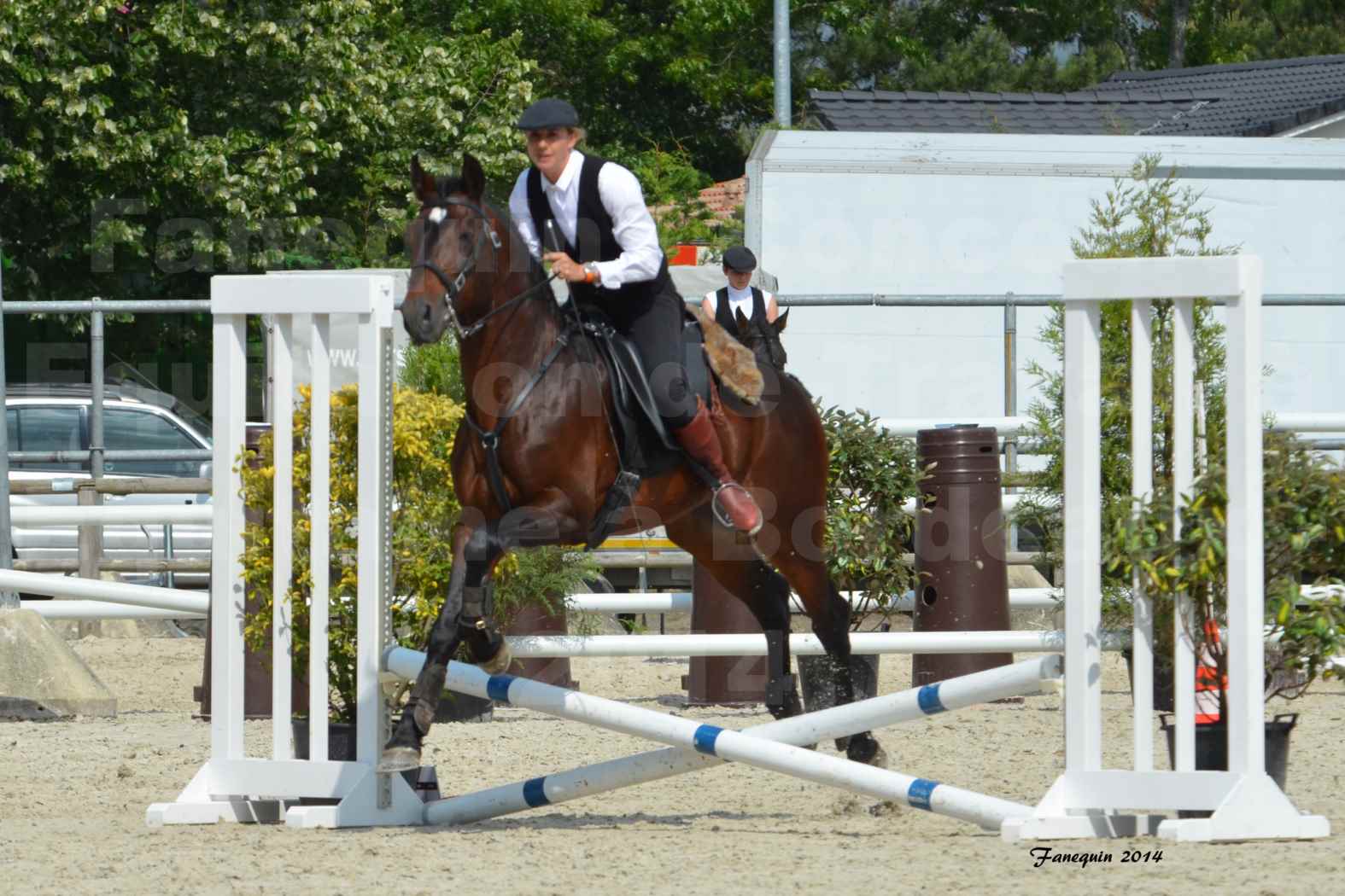 Salon Equitaine de Bordeaux en 2014 - concours Equitation de travail - Épreuve de Maniabilité chronométré - E - 07