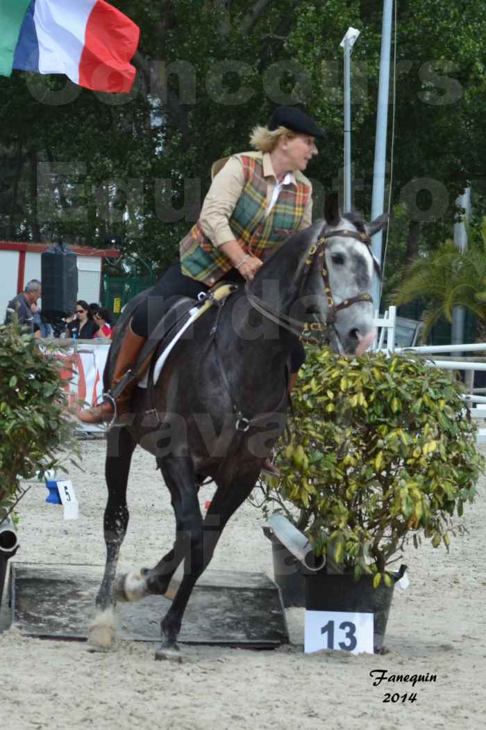 Salon Equitaine de Bordeaux en 2014 - concours Equitation de travail - Épreuve de Maniabilité chronométré - F - 13