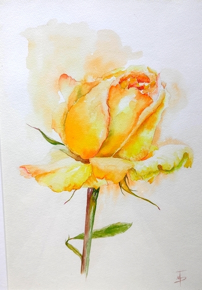 aquarelle rose jaune Joëlle Poret