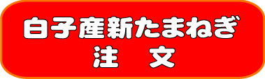 白子新たまねぎの注文