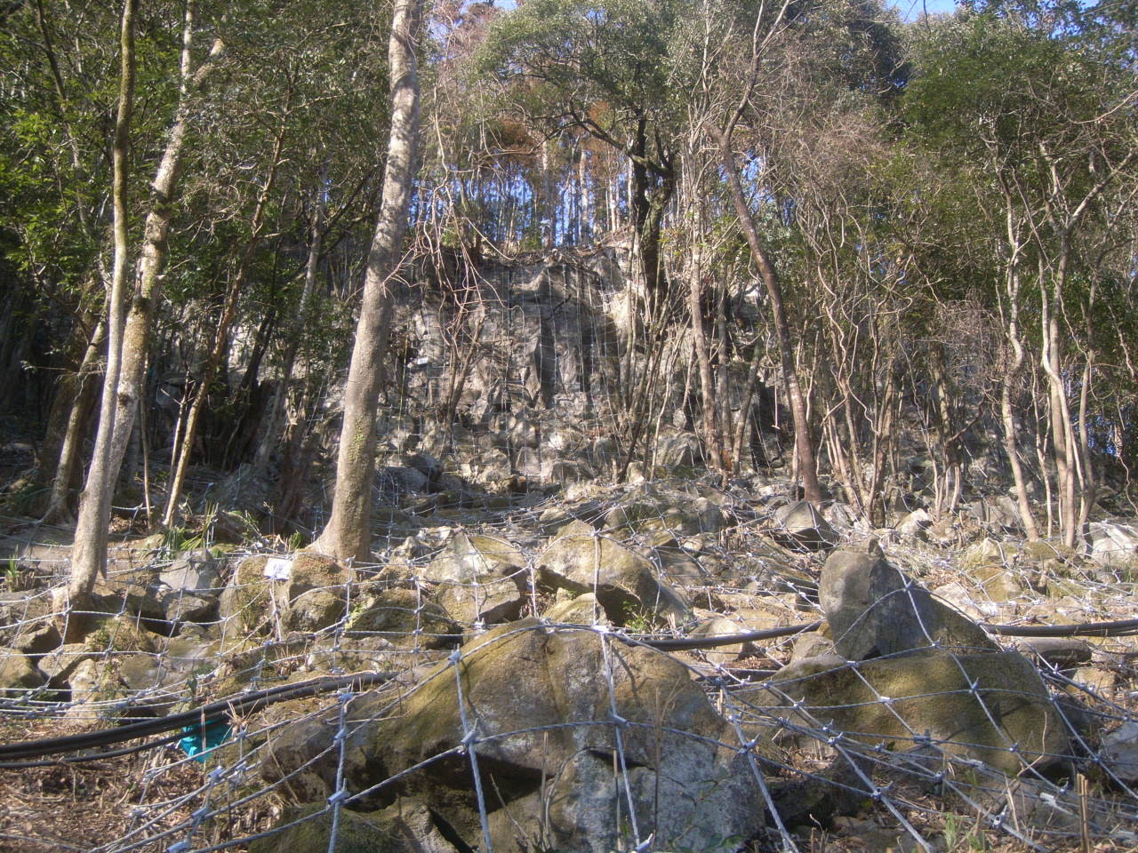 平成24年度　林地荒廃防止事業　尾崎