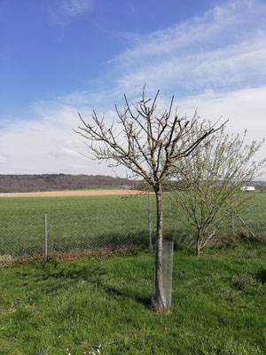 Nachher 2