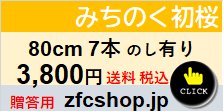 80ｃｍ　７本　贈答用　みちのく初桜