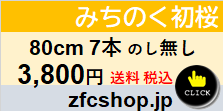 80ｃｍ　７本　ご自宅用　みちのく初桜