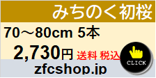 70～80ｃｍ　5本　ご自宅用