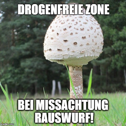 Wir haben schon ganz schön viel erlebt mit Touristen, die Drogen konsumiert hatten. Bitte respektieren Sie, dass wir Drogen im Hotel keine Plattform bieten und es zur drogenfreien Zone erklärt haben.