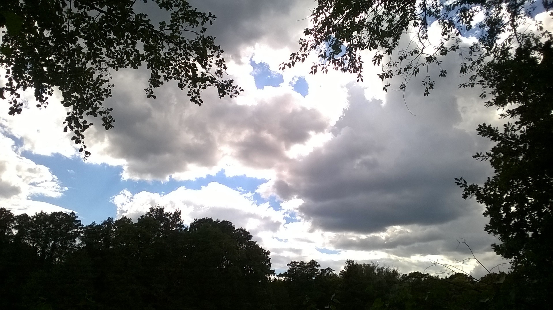 sieben Wolken wurden um 14 Uhr gezählt...