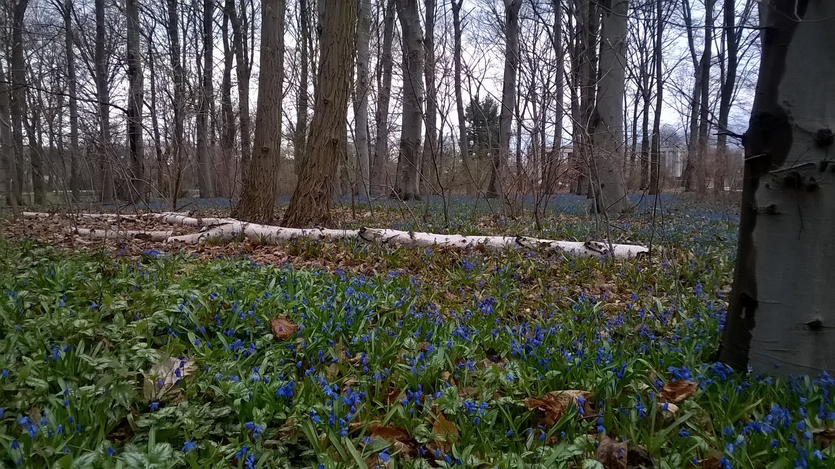 und gehört mir allein und einem struppigen Fuchs, der hier seinen Hauptwohnsitz hat...