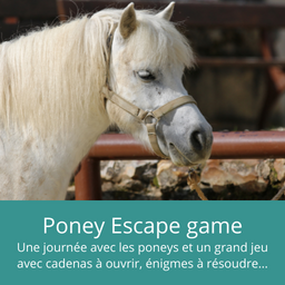 sortie scolaire poney spectacle aux Grilles