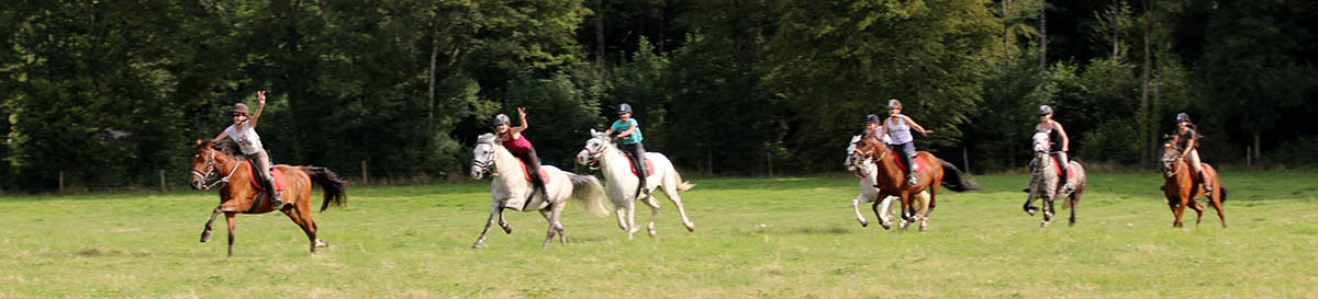 Stage d'équitation, balades au galop