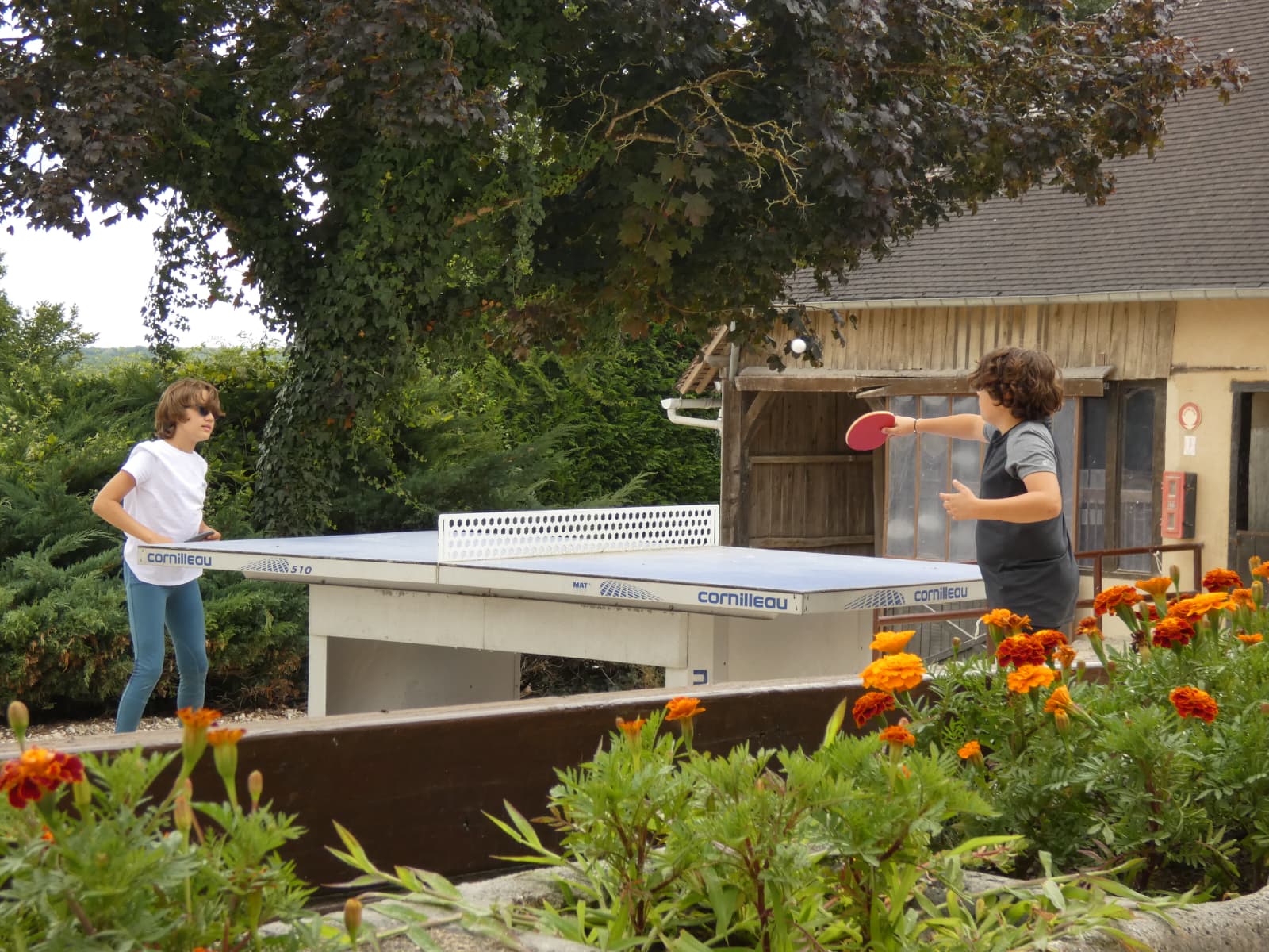 Les tables de Ping Pong