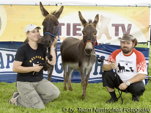 (D) Neuss, Happy Dogs 2008