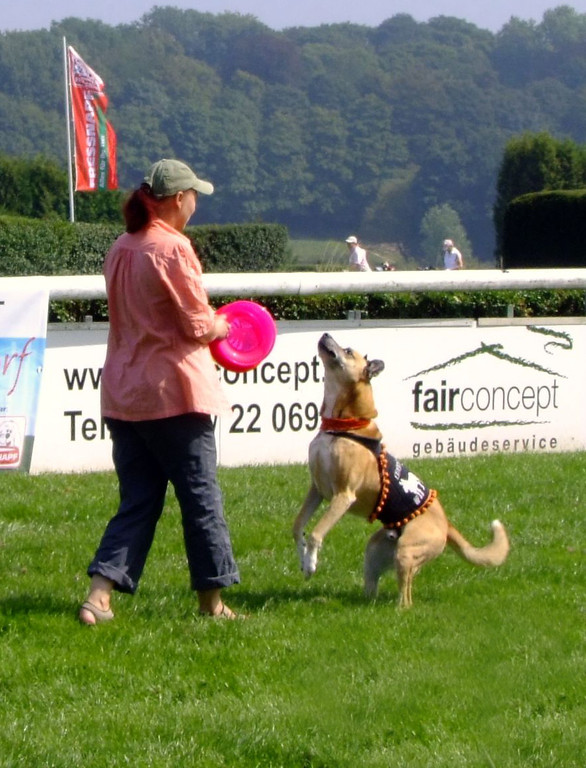 Dog Event Düsseldorf am 16.8.2009, Foto: Pascal Keilig - Frisbee