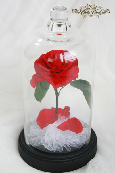 美女と野獣　薔薇　ガラスドーム　プロポーズ　ウェディング　光る　ＬＥＤ　プリザーブドフラワー