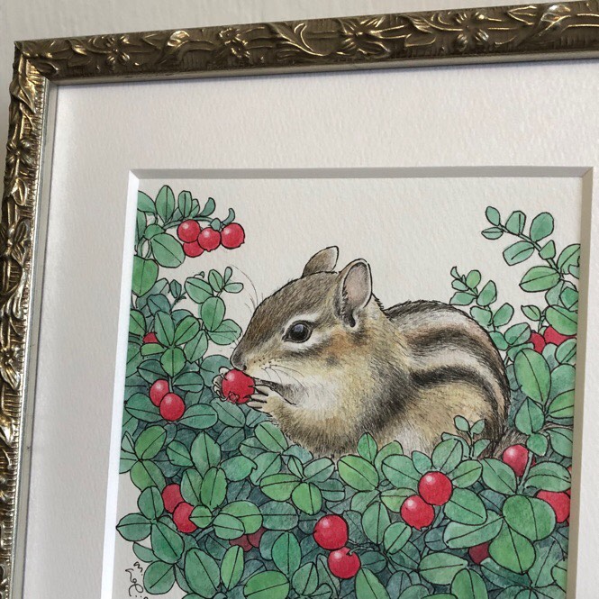 色鉛筆画A4 リス.1 色鉛筆画A4 リス.1