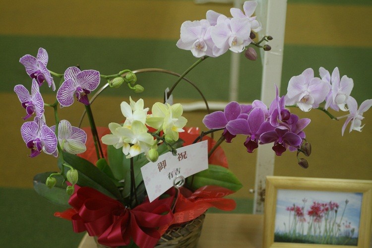 お花いただきました(^-^)
