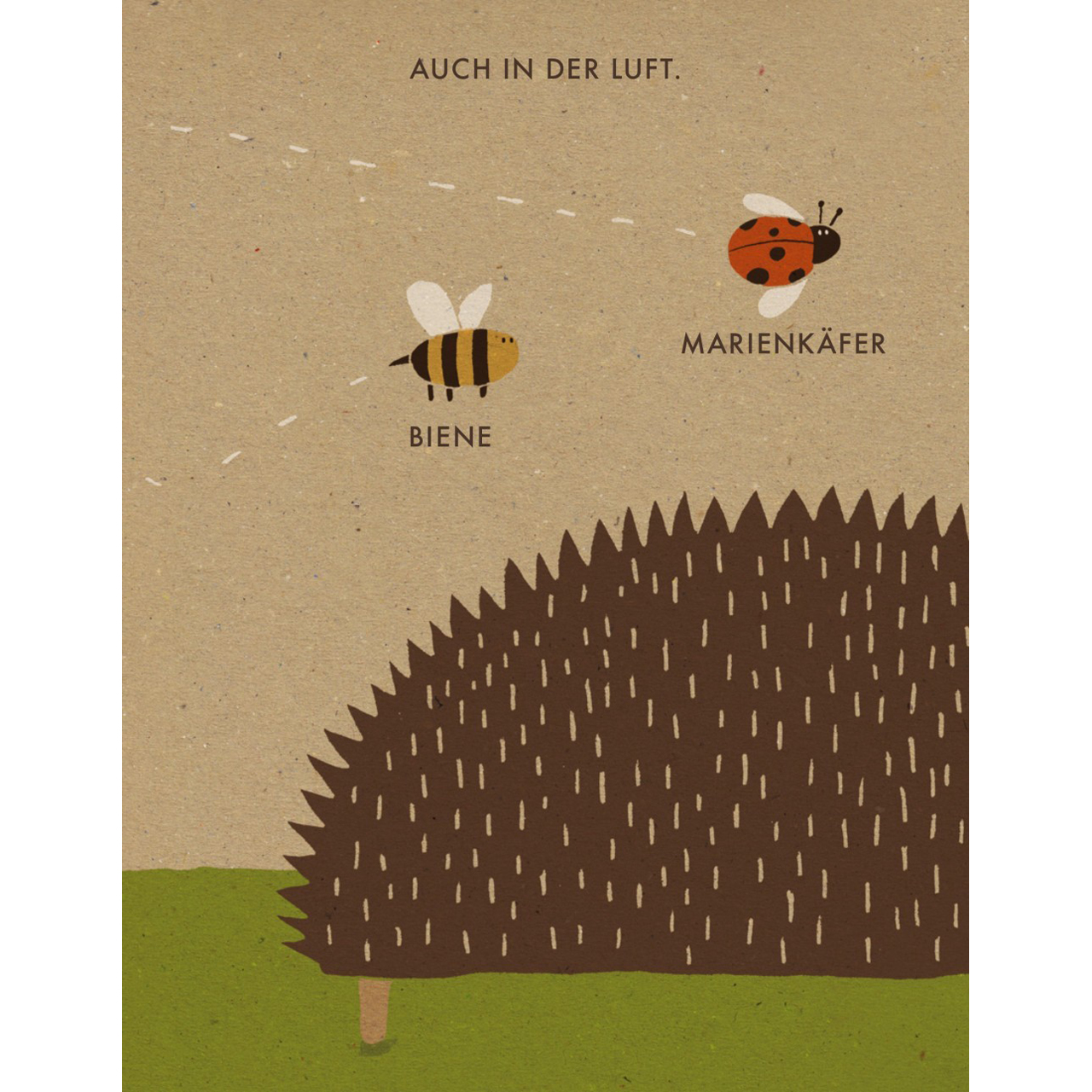 Mein Kleiner Garten 100 Naturbuch Katrin Wiehle Zuckerfrei