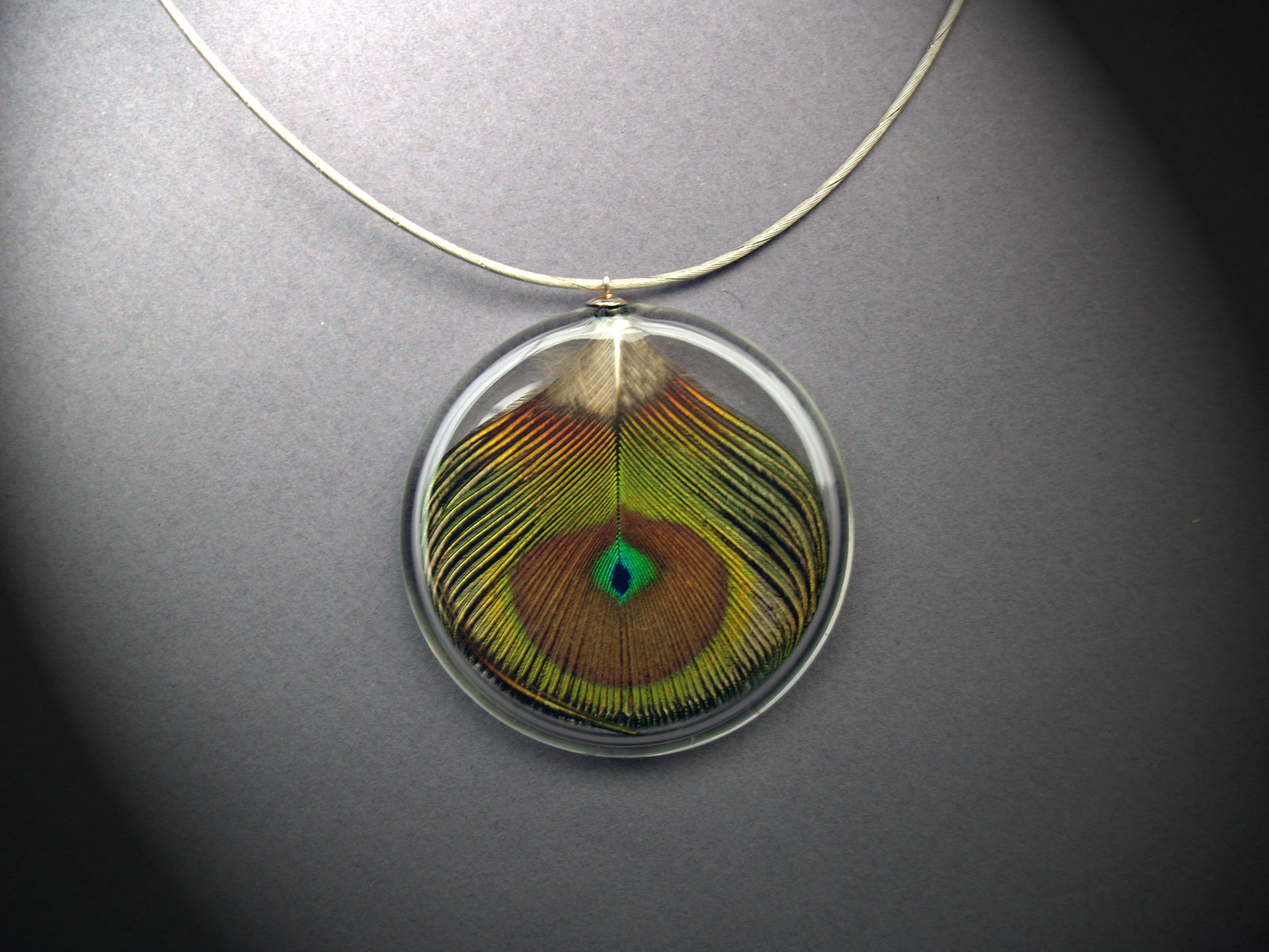 Collection "Plume"