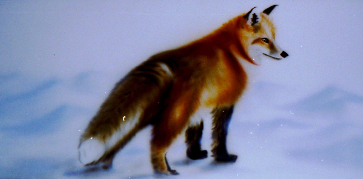 Frontluik airbrush 1998
