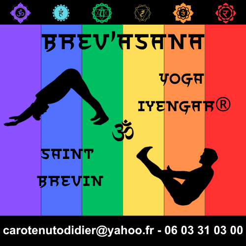 Yoga IYENGAR® à Saint Brevin