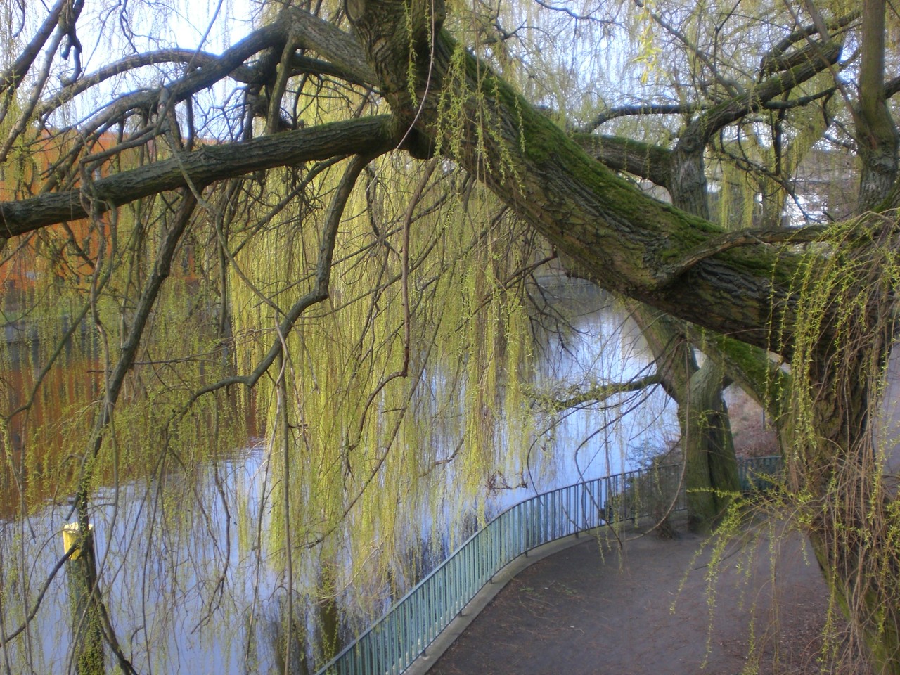 Tiergarten