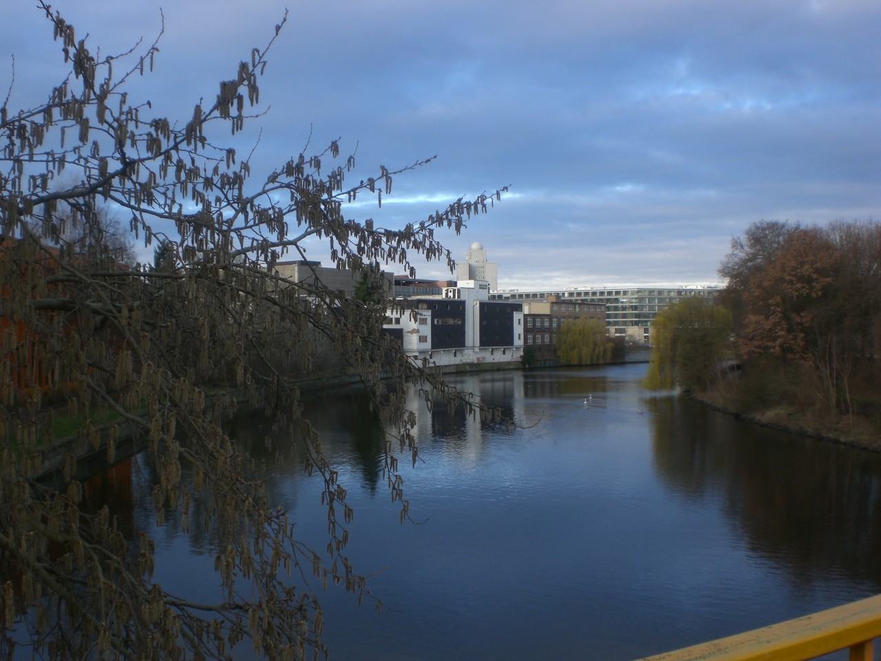 Tiergarten