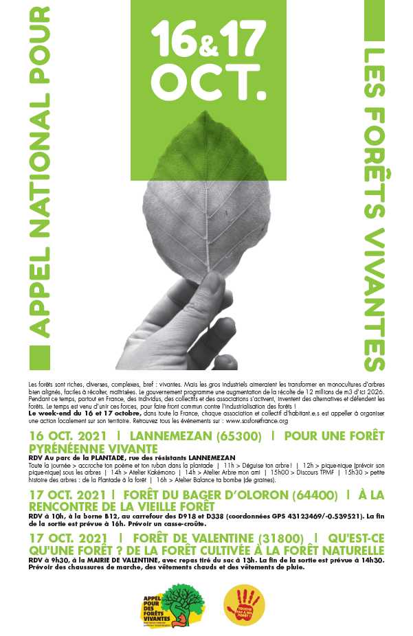 "Pour les Forêts Vivantes" sur toute la chaîne des Pyrénées avec SOS Forêt - TPAMF - ACCOB