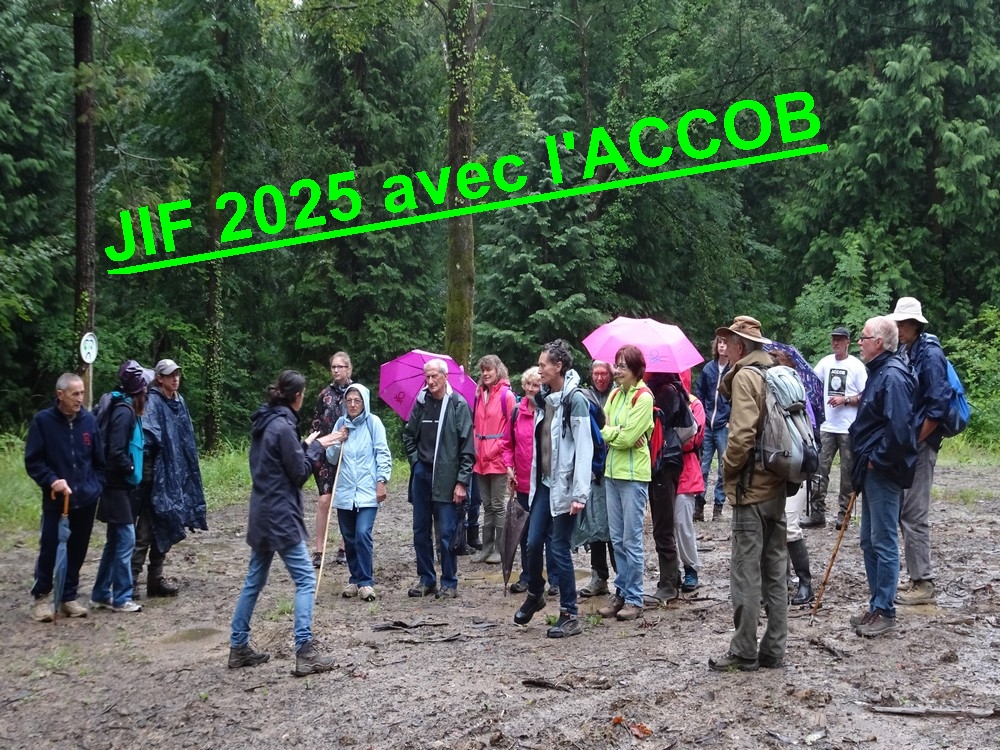 Journée Internationale des Forêts 2025