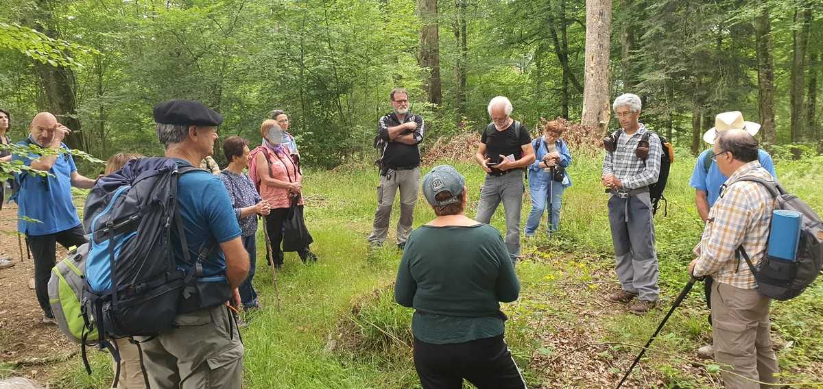 L'association ACCOB explique le protocole Vieille forêt- les malencontreuses coupes durant le Covid...